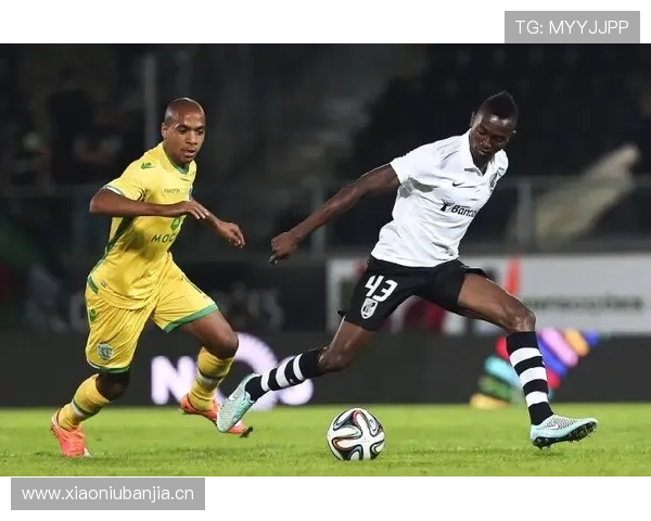 布拉加欧战分析