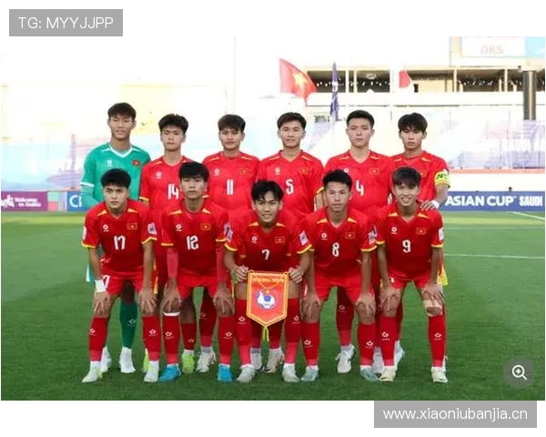 越南队亚洲杯八强
