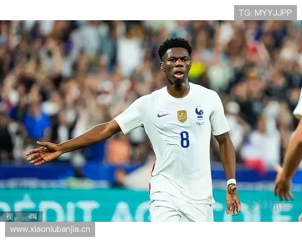 琼阿梅尼国家队地位是否被高估?战术角色与实际贡献分析 琼阿梅尼国家队地位是否被高估?战术角色与实际贡献分析