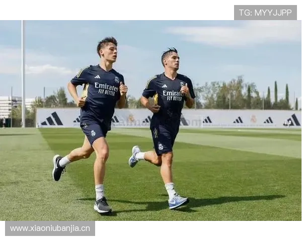 居莱尔身体对抗短板如何影响其比赛表现