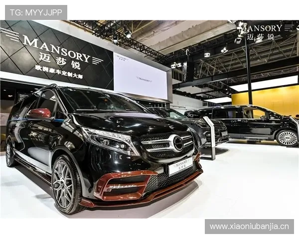 阿萨尔森那架私人飞机停了三天，城里不少人都认不出这不是明星豪车了吧？