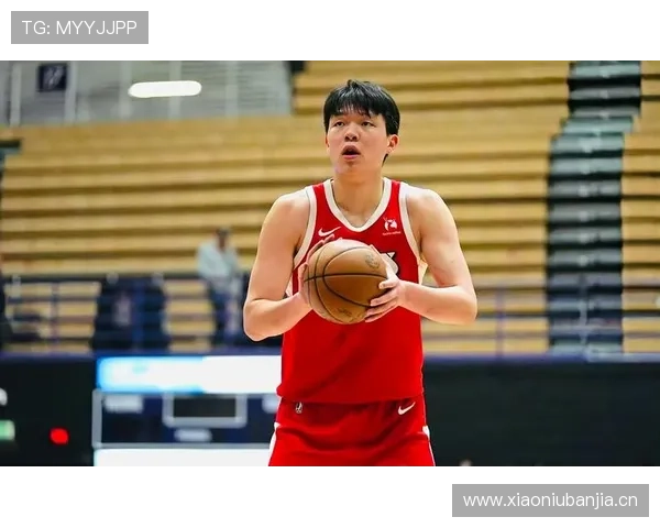 杨瀚森内线高效篮板抢夺拉开与队友禁区威慑差距